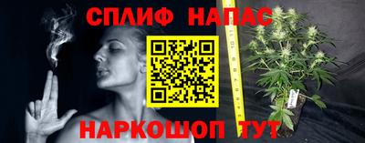 мдма Можга